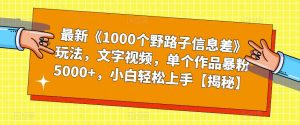 最新《1000个野路子信息差》玩法，文字视频，单个作品暴粉5000+，小白轻松上手【揭秘】-林文副业站