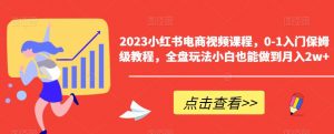 2023小红书电商视频课程，0-1入门保姆级教程，全盘玩法小白也能做到月入2w+-林文副业站