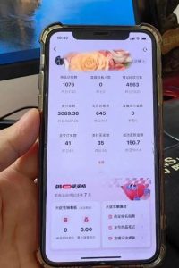 超级蓝海赛道保姆级教学，小红书无货源，无需实拍，如何做到日入1000+【揭秘】-林文副业站