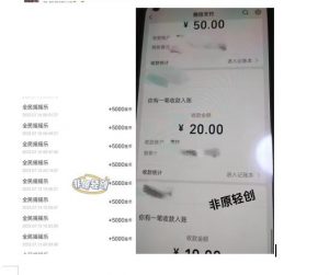 外面收费1290的小游戏项目，单机收益30+，提现秒到账，小白无脑批量操作，长期稳定【揭秘】-林文副业站