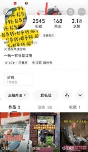 揭秘国学项目最新玩法，利用慈悲心疯狂敛财【揭秘】-林文副业站