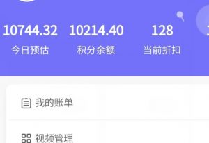 新手也能日入几百的冷门DIY项目，0基础全程实操【揭秘】-林文副业站