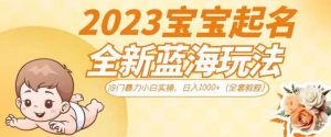 2023宝宝起名全新蓝海玩法，冷门暴力小白实操，日入1000+（全套教程）【揭秘】-林文副业站