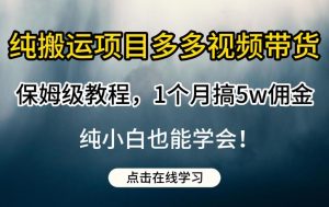 纯搬运项目多多视频带货保姆级教程，1个月搞5w佣金，纯小白也能学会【揭秘】-林文副业站
