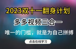 2023双十一翻身计划，多多视频带货三合一玩法教程【揭秘】-林文副业站