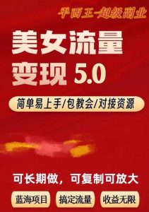 TK美女短视频变现项目无限复制（升级版），全网最高性价比项目【揭秘】-林文副业站