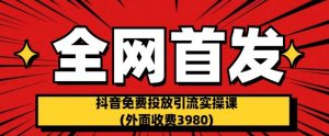 全网首发：抖音免费投放引流实操课(外面收费3980)【揭秘】-林文副业站