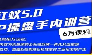 红蚁5.0IP操盘手内训营，IP操盘终极方法论-林文副业站