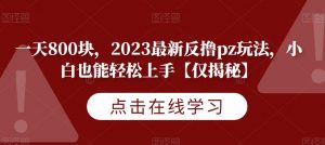 一天800块，2023最新反撸pz玩法，小白也能轻松上手【仅揭秘】-林文副业站
