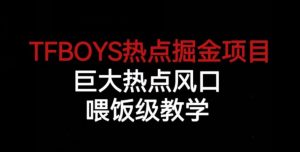 TFBOYS热点掘金项目，巨大热点风口，喂饭级教学-林文副业站