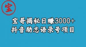 宝哥揭秘日赚3000+抖音励志语录号短视频变现项目-林文副业站
