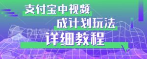 避坑玩法:支付宝中视频分成计划玩法实操详解【揭秘】-林文副业站