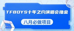 最新蓝海项目，靠最近非常火的TFBOYS十年之约演唱会流量掘金，八月必做的项目【揭秘】-林文副业站