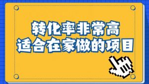 小红书虚拟电商项目：从小白到精英（视频课程+交付手册）-林文副业站