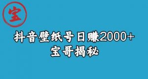 宝哥抖音壁纸号日赚2000+，不需要真人露脸就能操作【揭秘】-林文副业站