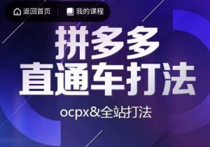 互力·拼多多直通车打法，ocpx&全站打法-林文副业站