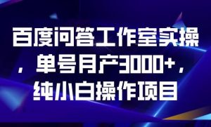 百度问答工作室实操，单号月产3000+，纯小白操作项目【揭秘】-林文副业站