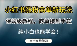 小红书涨粉商单新玩法，保姆级教程，商单接到手软，纯小白也能学会【揭秘】-林文副业站