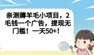 亲测薅羊毛小项目，2毛钱一个广告，提现无门槛！一天50+【揭秘】-林文副业站