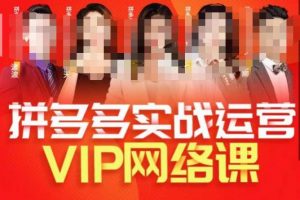 推易拼多多VIP全套直播课程,拼多多店铺实操玩法+实战玩法选款内功+直通车高阶等-林文副业站