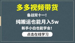 多多视频带货，备战双十一，纯搬运也能月入5w，新手小白也能学会-林文副业站