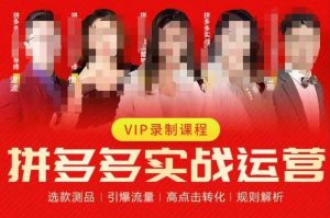 2023推易拼多多实战运营，选款测品、引爆流量、高点击转化、规则解析-林文副业站