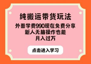 纯搬运带货玩法，外面学费990现在免费分享，新人无脑操作也能月入过万【揭秘】-林文副业站