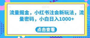 流量掘金，小红书注会新玩法，流量密码，小白日入1000+【揭秘】-林文副业站