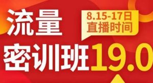 秋秋线上流量密训班19.0,打通流量关卡,线上也能实战流量破局-林文副业站