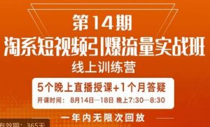 南掌柜·淘系短视频引爆流量实战班，​短视频是一个没有天花板的流量入口-林文副业站