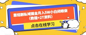 靠短剧私域掘金月入5W小白闭眼做（教程+2T资料）-林文副业站