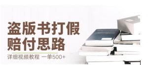 最新盗版书赔付打假项目，一单利润500+【详细玩法视频教程】【仅揭秘】-林文副业站