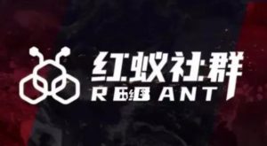 社群运营：红蚁社群【48节落地系统课程+2000人高端社群】-林文副业站