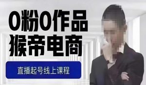 猴帝最新1600线上课，0粉起号实操教学，自然流量天花板，7-8月9节，20+小时-林文副业站