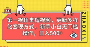 第一视角类短视频，更新多样化变现方式，新手小白无门槛操作，日入500+【揭秘】-林文副业站