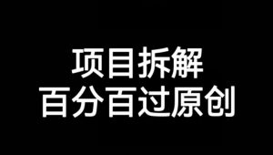 项目拆解赛道百分百过原创【揭秘】-林文副业站