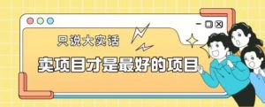 卖项目才是最好的项目一单3000+【揭秘】-林文副业站