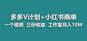 【蓝海项目】多多v计划+小红书商单一个视频三份收益工作室月入10w-林文副业站
