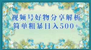 视频号好物分享解析，简单粗暴可以批量方大的项目【揭秘】-林文副业站