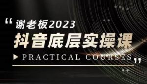 蟹老板·2023抖音底层实操课,打造短视频的底层认知-林文副业站
