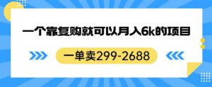 一单卖299-2688，一个靠复购就可以月入6k的暴利项目【揭秘】-林文副业站