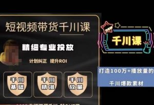 短视频带货-千川专业投放课,精细化专业投放,计划纠正,提升ROI-林文副业站