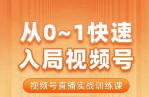 陈厂长·从0-1快速入局视频号课程，视频号直播实战训练课-林文副业站