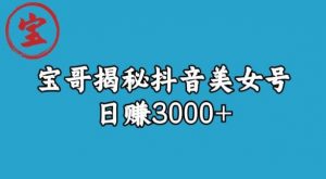 宝哥揭秘抖音美女号玩法，日赚3000+【揭秘】-林文副业站