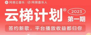 2023年8月份网易云最新独家挂机技术,真正实现挂机月入5000【揭秘】-林文副业站