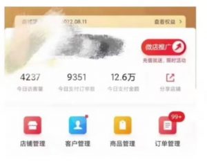 节日红利项目，微信红包封面，操作简单，利用好红利期日入2000+【揭秘】-林文副业站