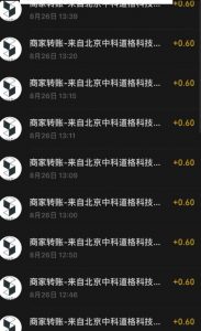 接码无限撸红包一分钟0.6无脑操作一天保底利润200-林文副业站