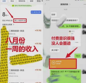 靠英语四级，一天1000+不懂英语也能做，小白保姆式教学(附:1800G资料）【揭秘】-林文副业站