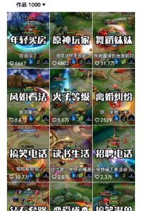 副业拆解：抖音王者荣耀游戏变现副业项目，视频版一条龙实操玩法分享给你-林文副业站