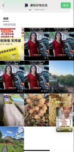 外面收费198的最新视频号连怼技术，条条原创，条条爆单【揭秘】-林文副业站